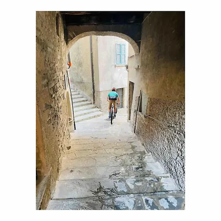 Casa Curie * Moltrasio